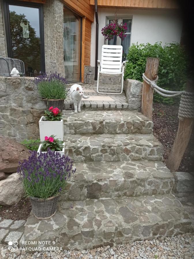 Apartamenty Sowianka Ludwikowice Kłodzkie Exterior foto