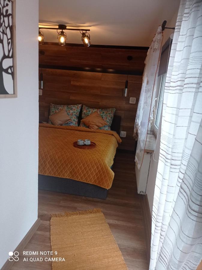 Apartamenty Sowianka Ludwikowice Kłodzkie Exterior foto