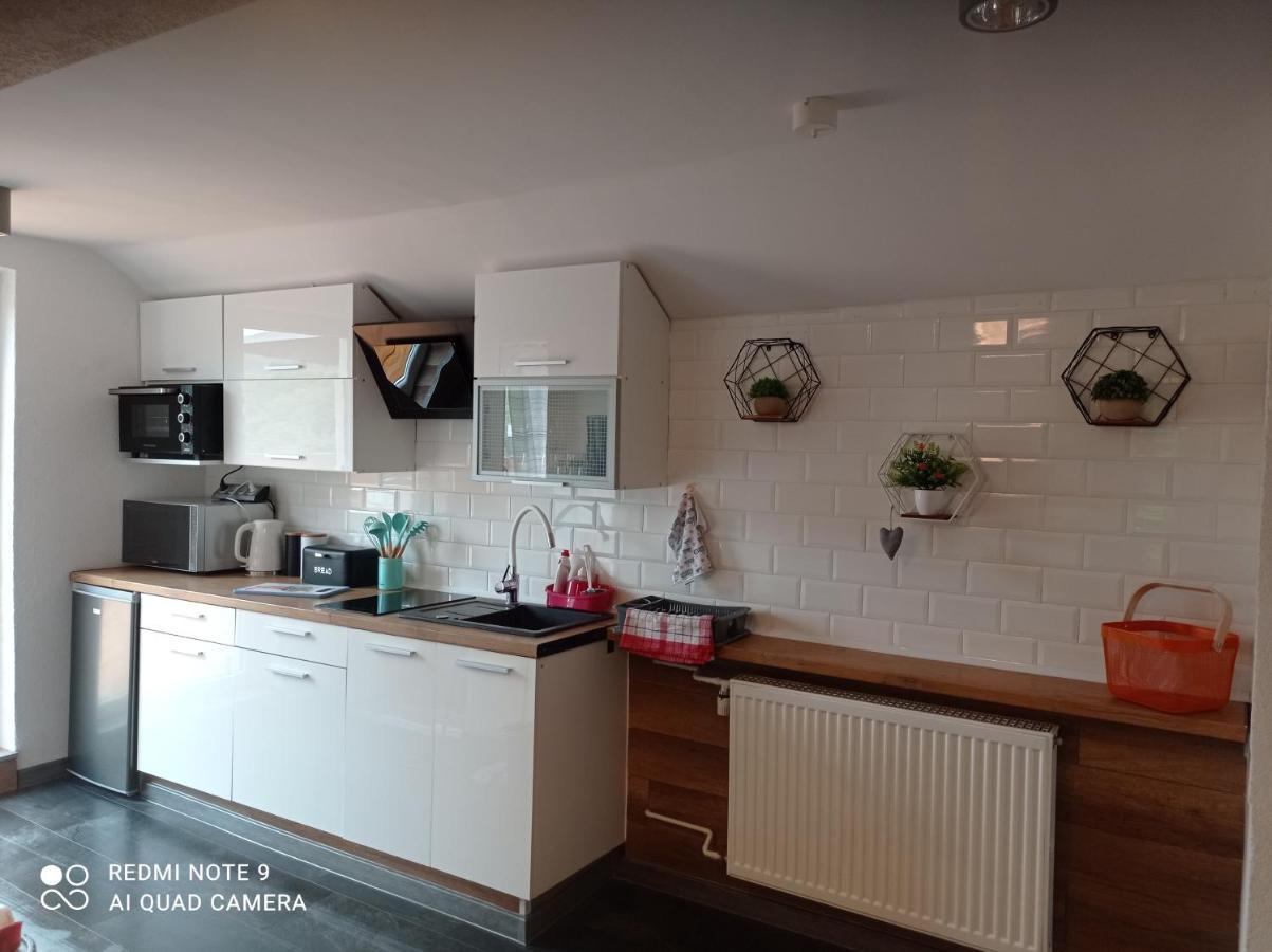 Apartamenty Sowianka Ludwikowice Kłodzkie Exterior foto